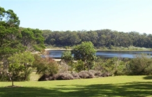 Boodoree National Park on the NSW south coast, home to threatened native species.